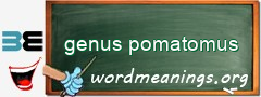 WordMeaning blackboard for genus pomatomus